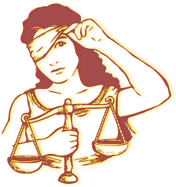 lawyer-640x480-4928517.png