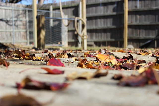 patio-640x480-66329817.jpeg