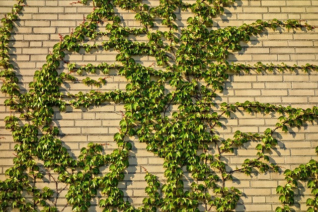 retaining-wall-640x480-68240987.jpeg