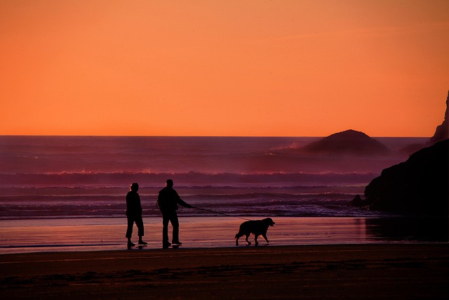 Personalized Legal Solutions for Retirement & Succession Olympia WA Estate Planning Attorney