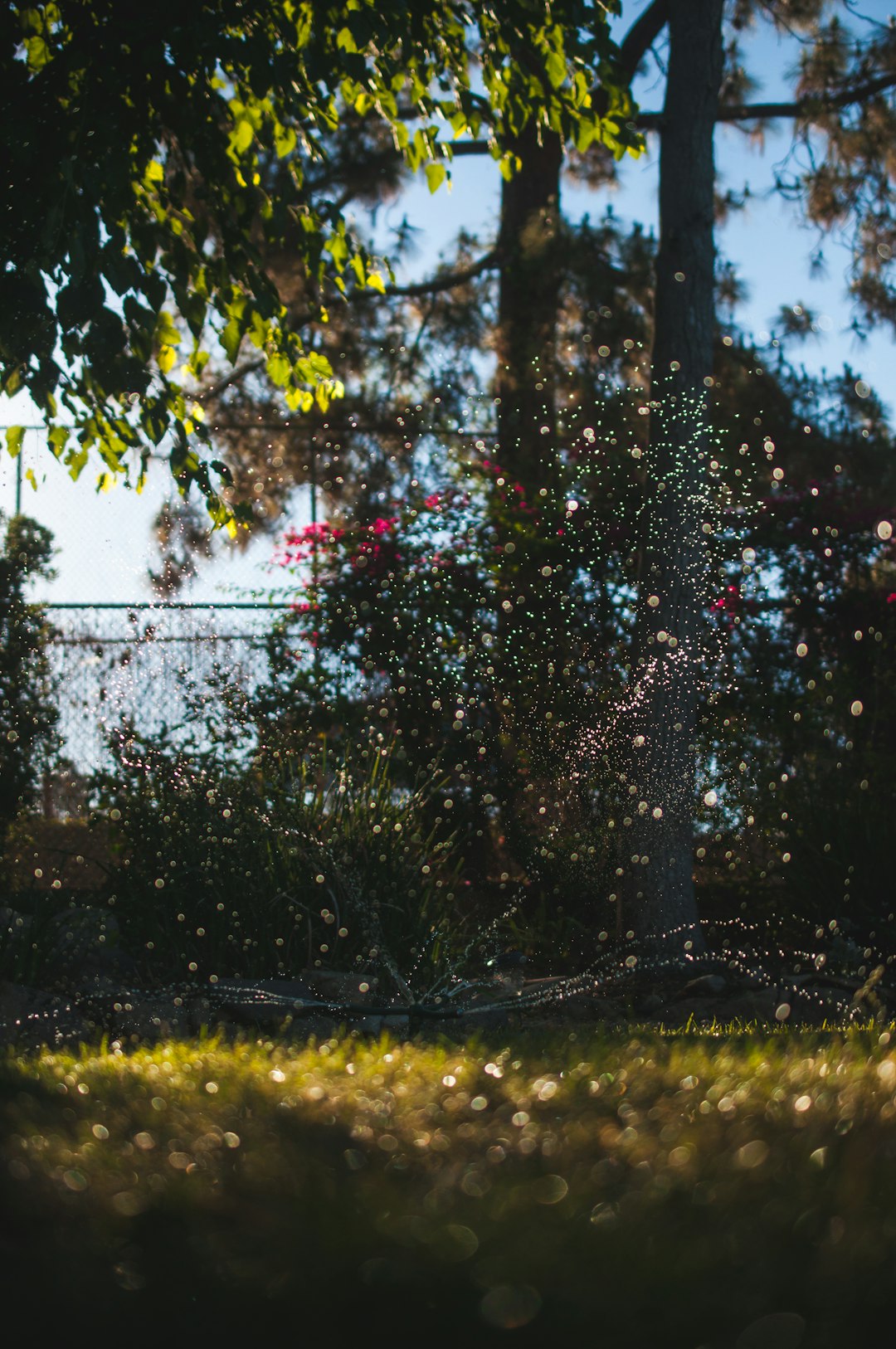 sprinklers