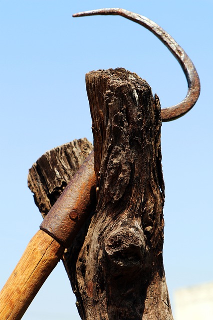 Efficient Stump Elimination: Lewisville TX Same-Day Services
