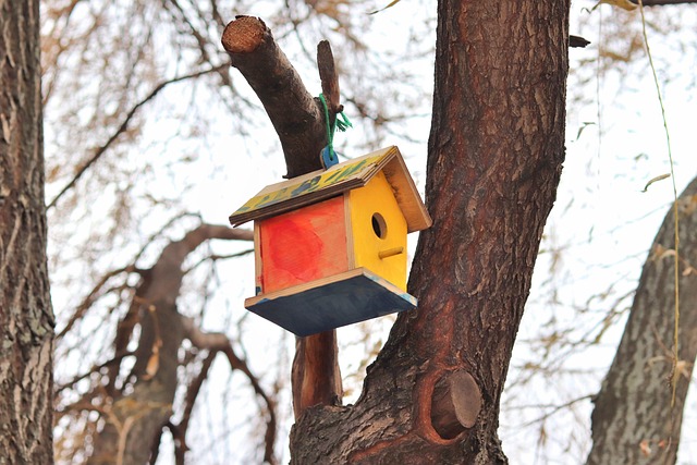 tree care lewisville tx