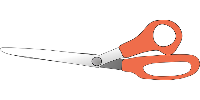 tree-pruning-carrollton-tx-640x480-12905494.png