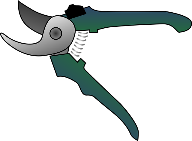 tree pruning carrollton tx