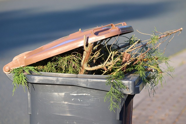 tree pruning carrollton tx