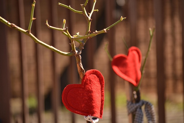 tree-pruning-carrollton-tx-640x480-56875730.jpeg