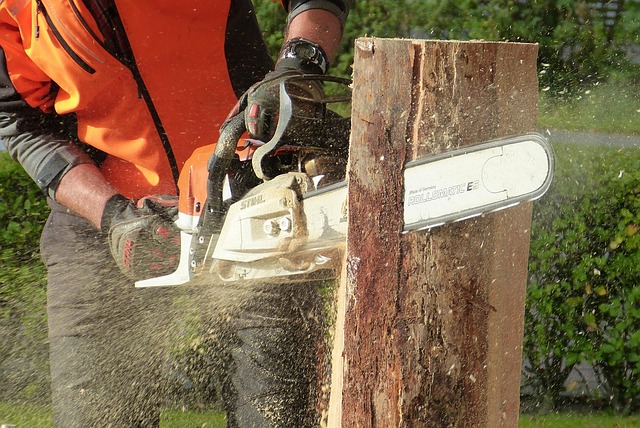 tree pruning lewisville tx