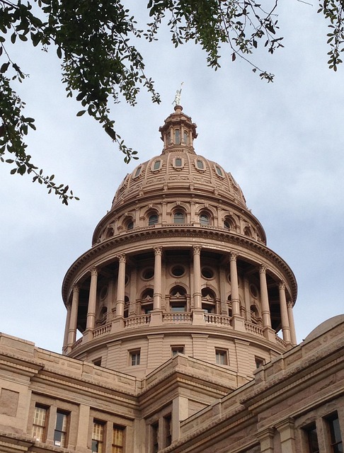 tree-service-lewisville-tx-640x480-12320131.jpeg