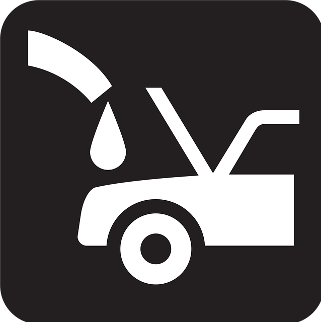 Comprehensive Tree Service Lewisville TX: Expert Care Solutions