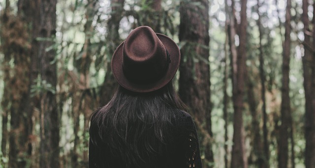 trees-640x480-57158030.jpeg