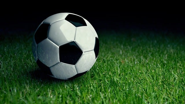 artificial turf