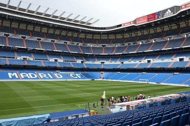 artificial turf