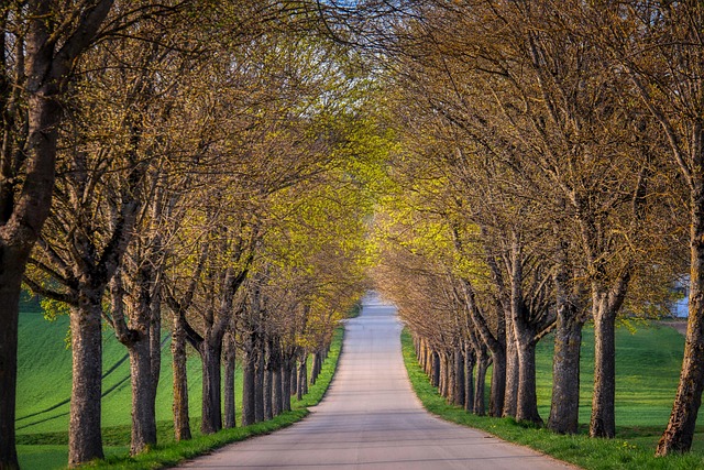 Transform Your Driveway: Concrete Company McKinney TX’s Expertise