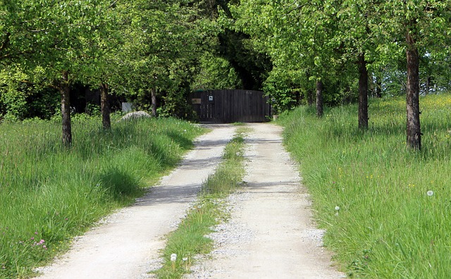 Concrete driveway repair McKinney TX