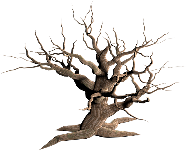 dead-tree-removal-lewisville-tx-640x480-30232094.png