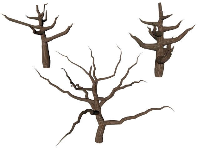 dead tree removal lewisville tx