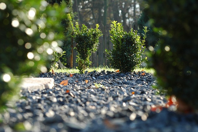 Gravel driveway contractors McKinney TX