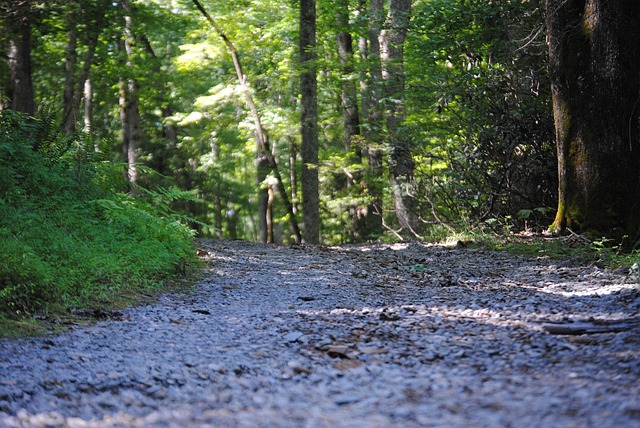 Gravel driveway leveling McKinney TX