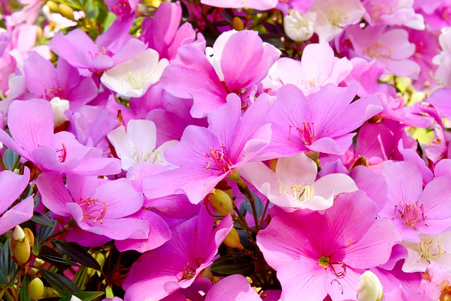 landscaping-640x480-35059168.jpeg