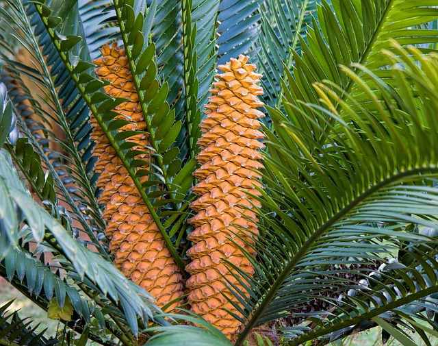 landscaping-640x480-42012647.jpeg