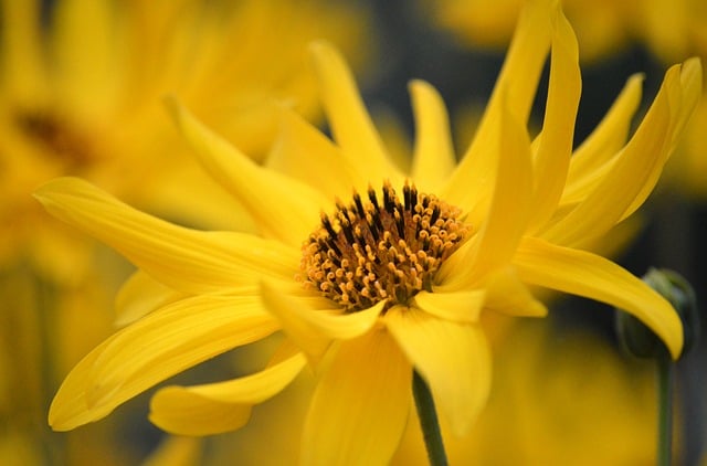 landscaping-640x480-69924726.jpeg