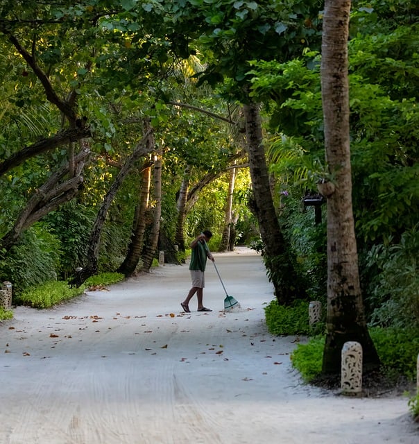landscaping-640x480-927326.jpeg