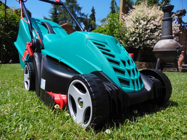 lawn