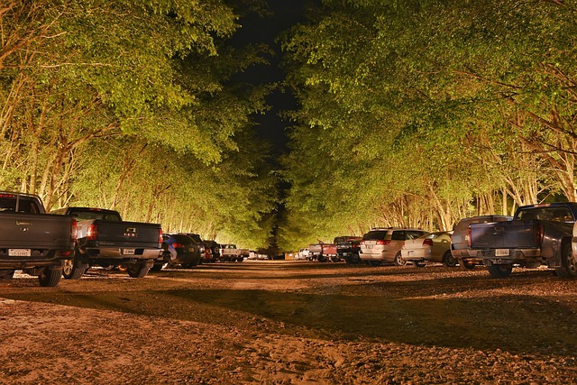 Parking lot striping contractors McKinney TX