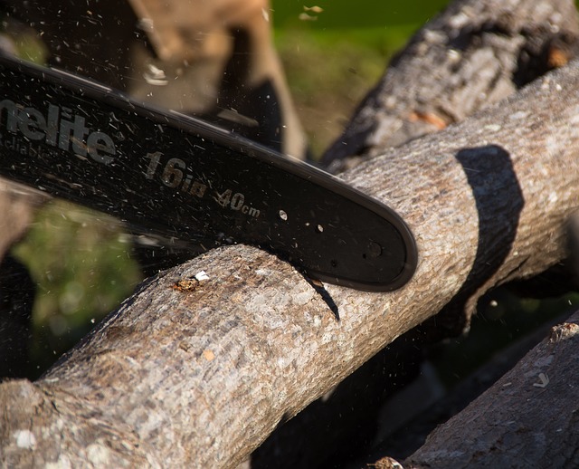 tree pruning lewisville tx