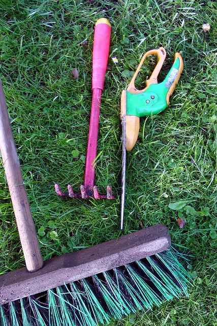 tree pruning lewisville tx
